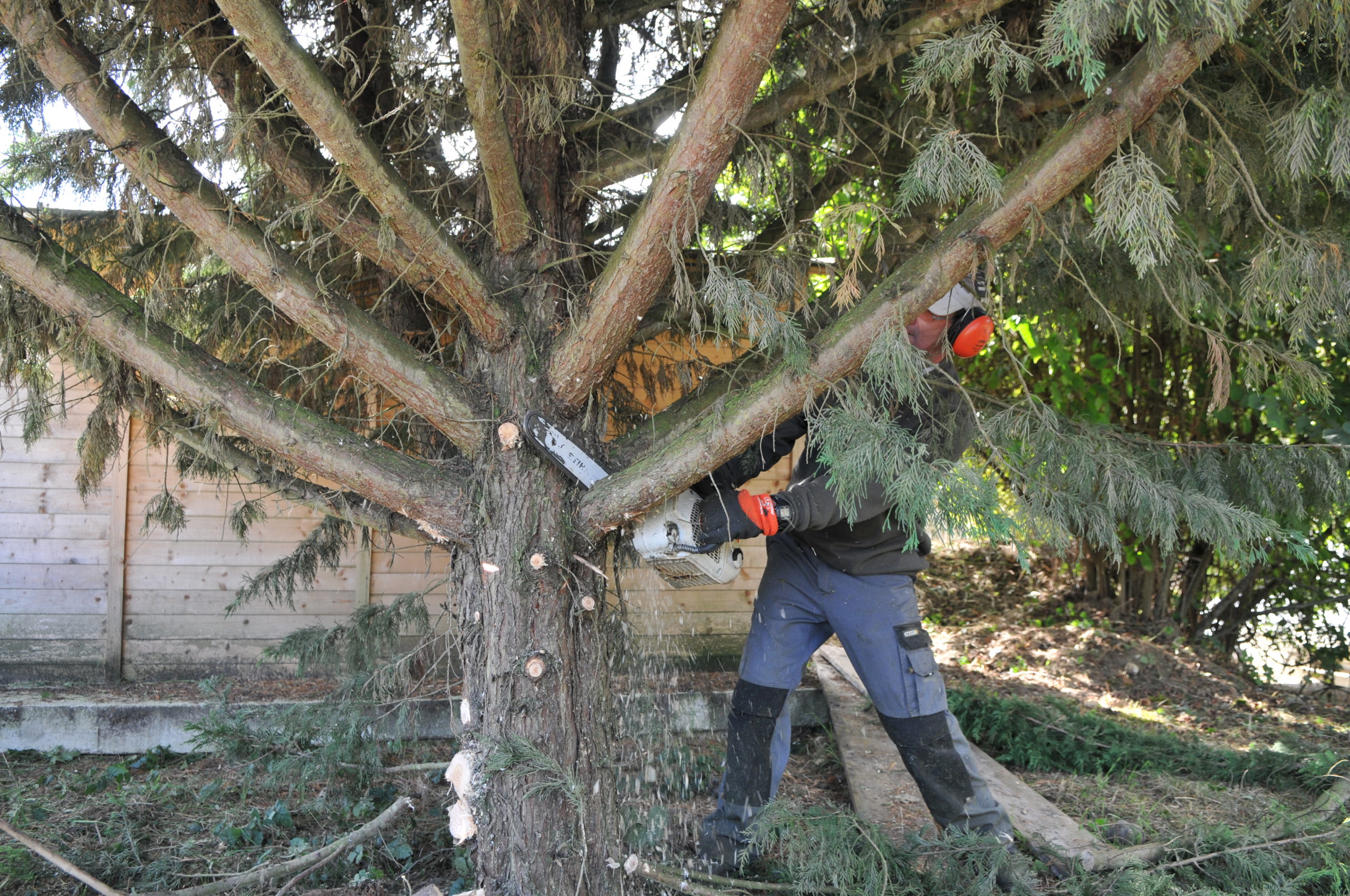 ProPaysage entretien les parcs et espaces verts des collectivités, professionnels et particuliers à Chartres et en Ile de France